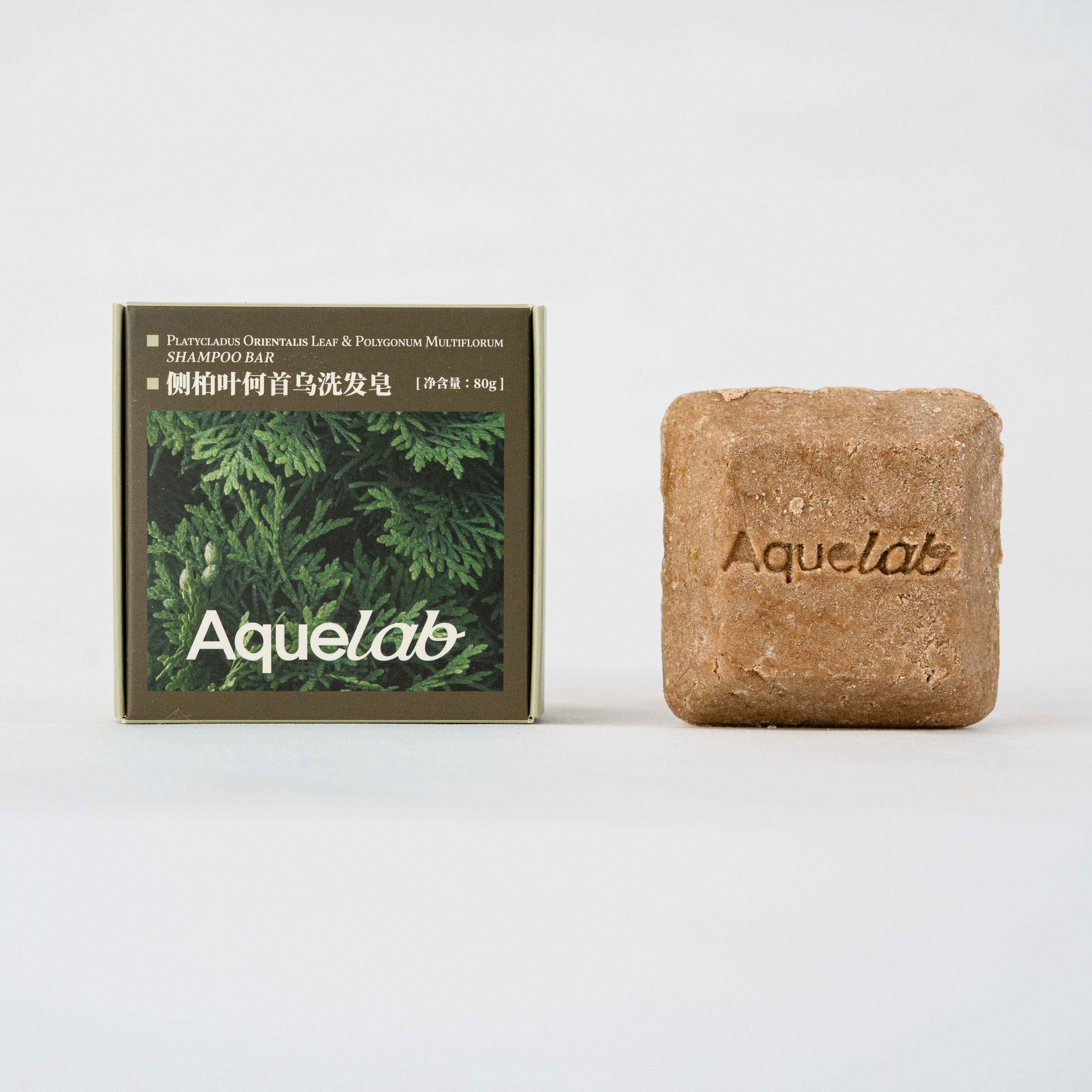PLATYCLADUS ORIENTALS LEAF & POLYGONUM MULTIFLORUM SHAMPOO BAR