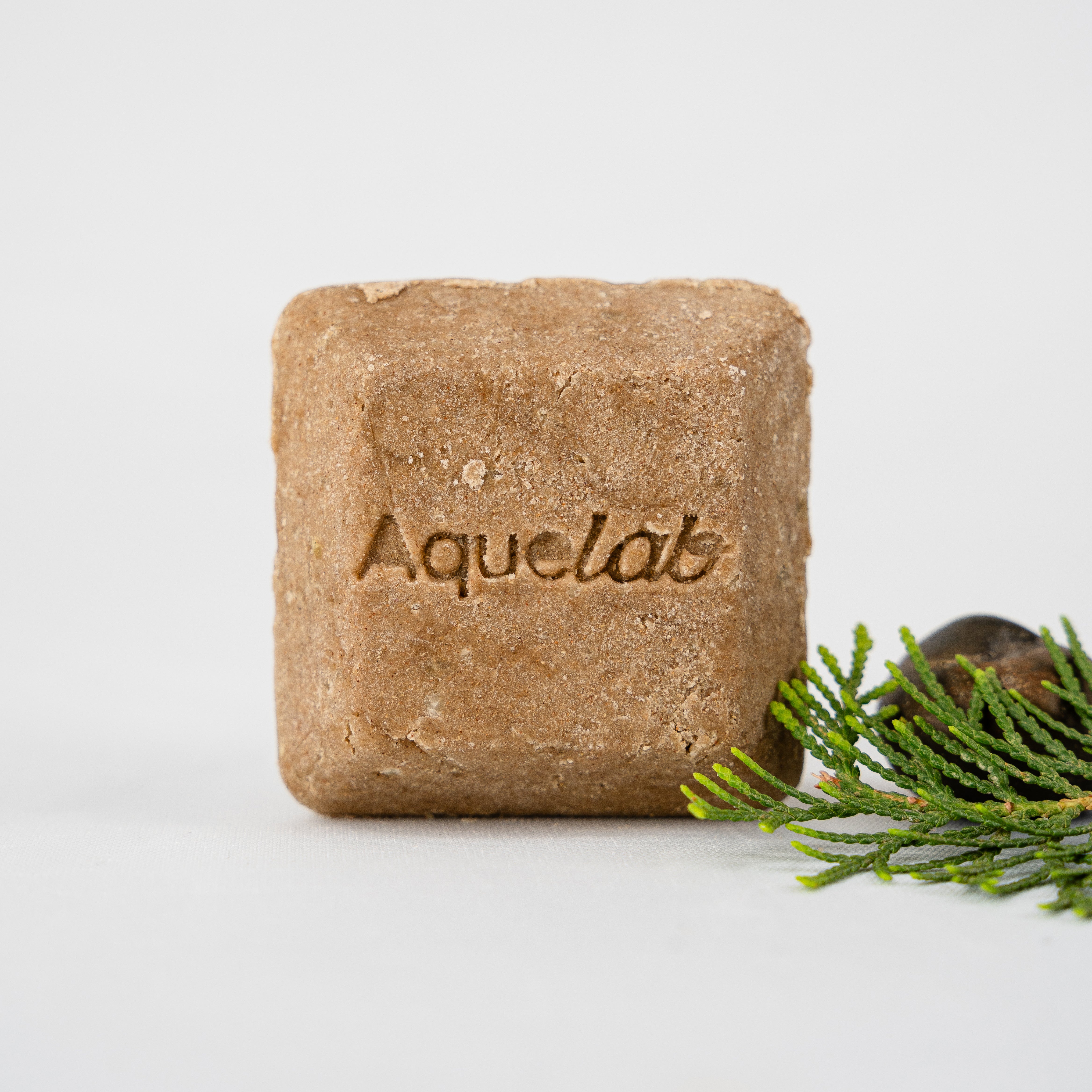 PLATYCLADUS ORIENTALS LEAF & POLYGONUM MULTIFLORUM SHAMPOO BAR